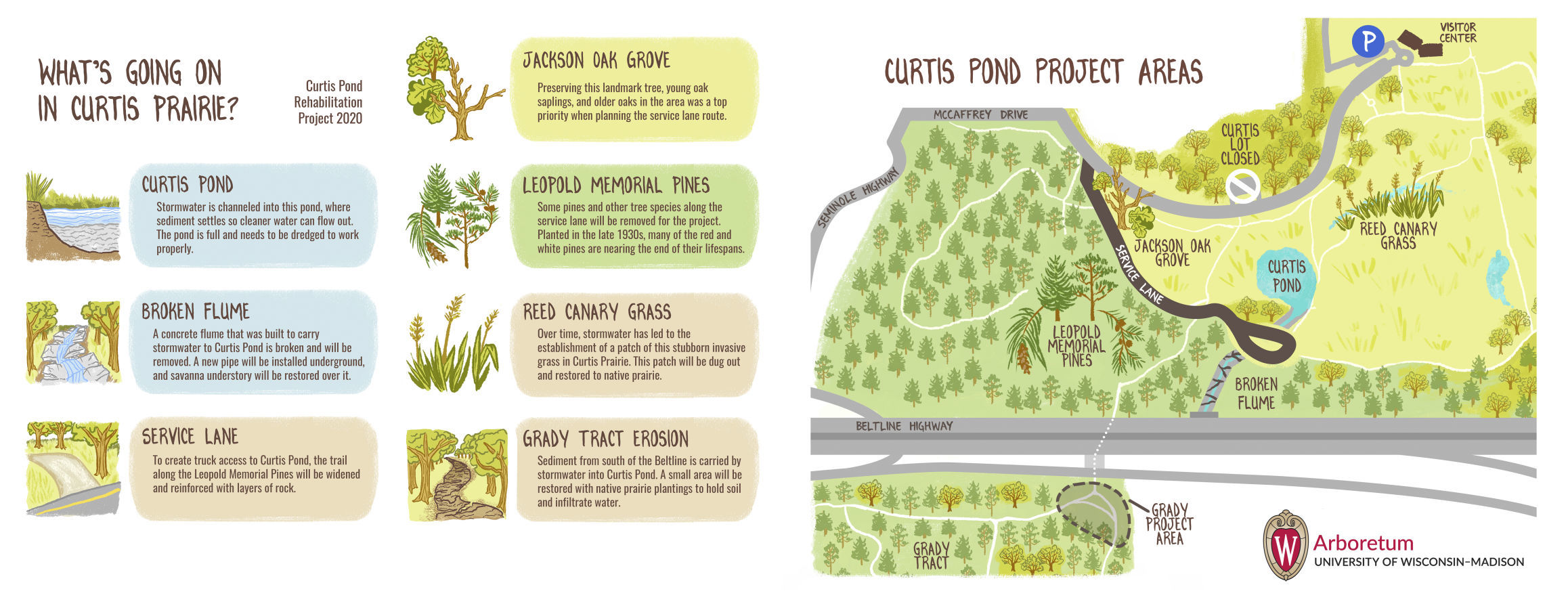 Curtis Pond restoration project illustration